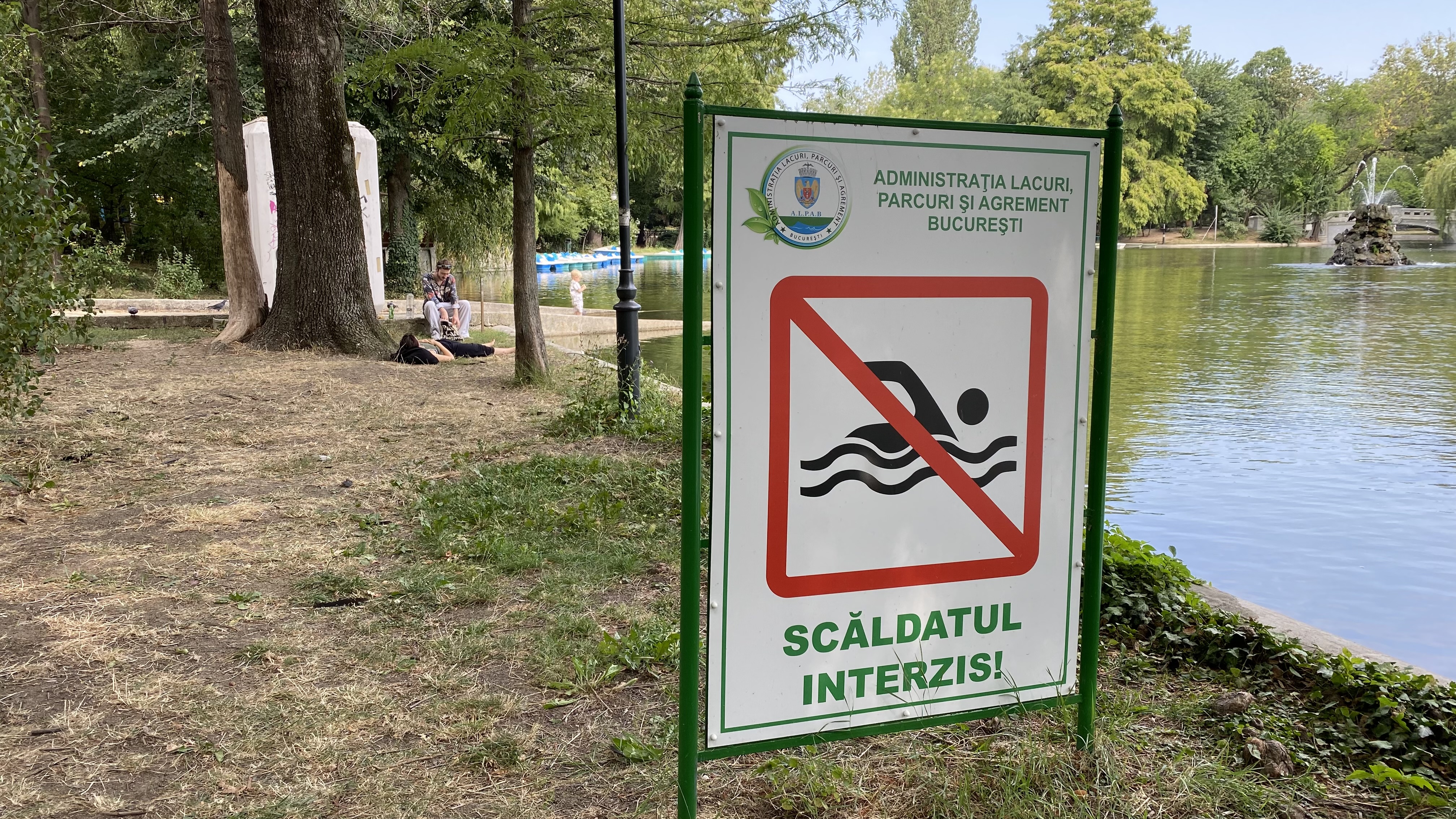 Cișmigiu, mândria tristă a Bucureștiului: pământ în loc de iarbă, alei distruse, garduri rupte și mirosuri insuportabile