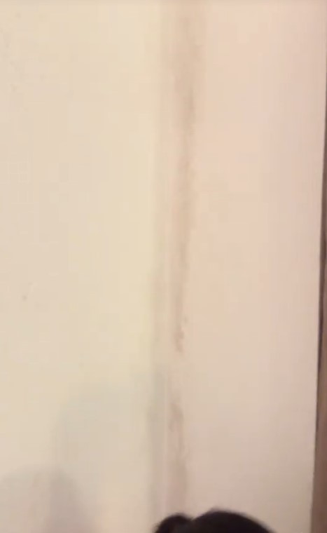 Imagini cu locul în care Irina Fodor a fost cazată la Asia Express. Camera de hotel avea mucegai pe pereți: „Miroase a șosete murdare”