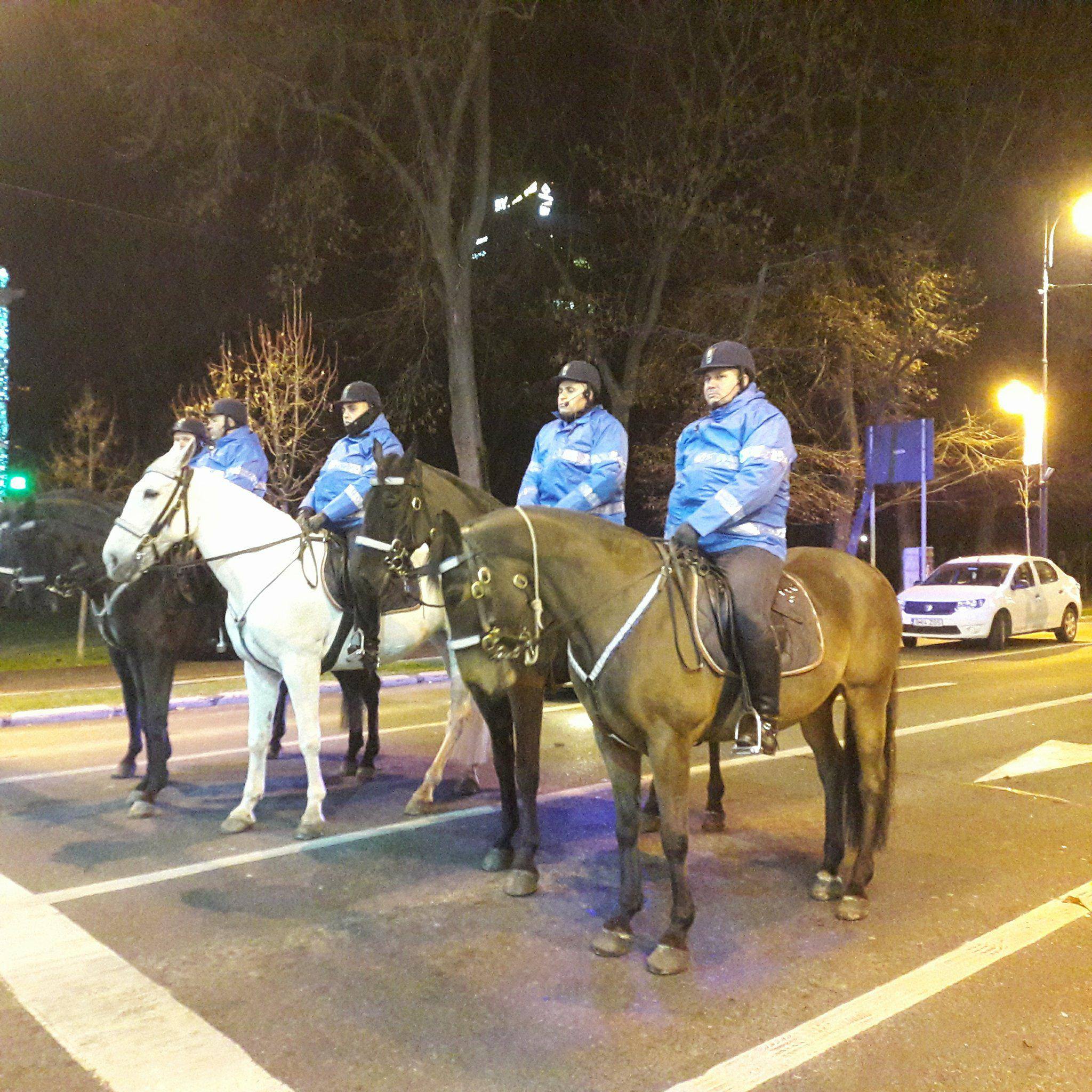 VIDEO | Caii Jandarmeriei, ”atracție turistică” pentru protestatarii din Piața Victoriei