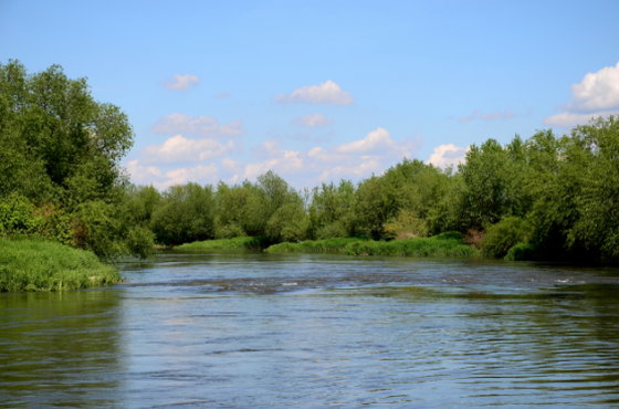 Drugą najdłuższą rzeką, po Wiśle, jest: