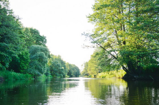 Klonownica, przez wielu uznawana za najkrótszą rzekę w Polsce, ma długość: