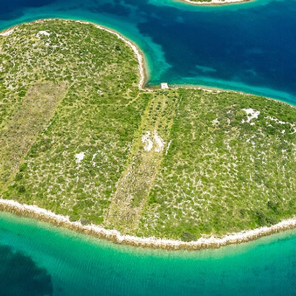 Największym źródłem smogu w Polsce są: 