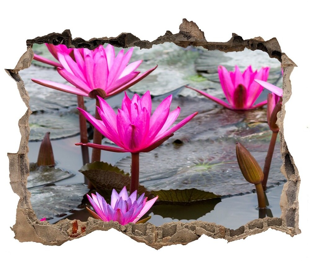 Wallmuralia.pl Samoprzylepna dziura naklejka Kwiat lotosu