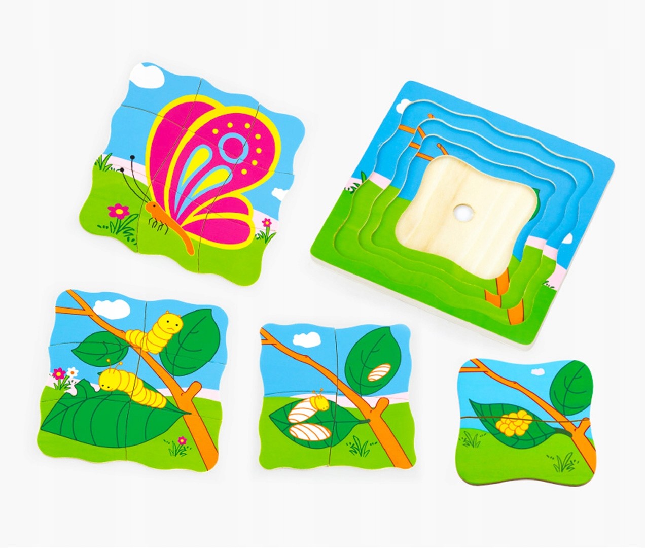 Viga 59517vg Puzzle - jak rośnie motylek