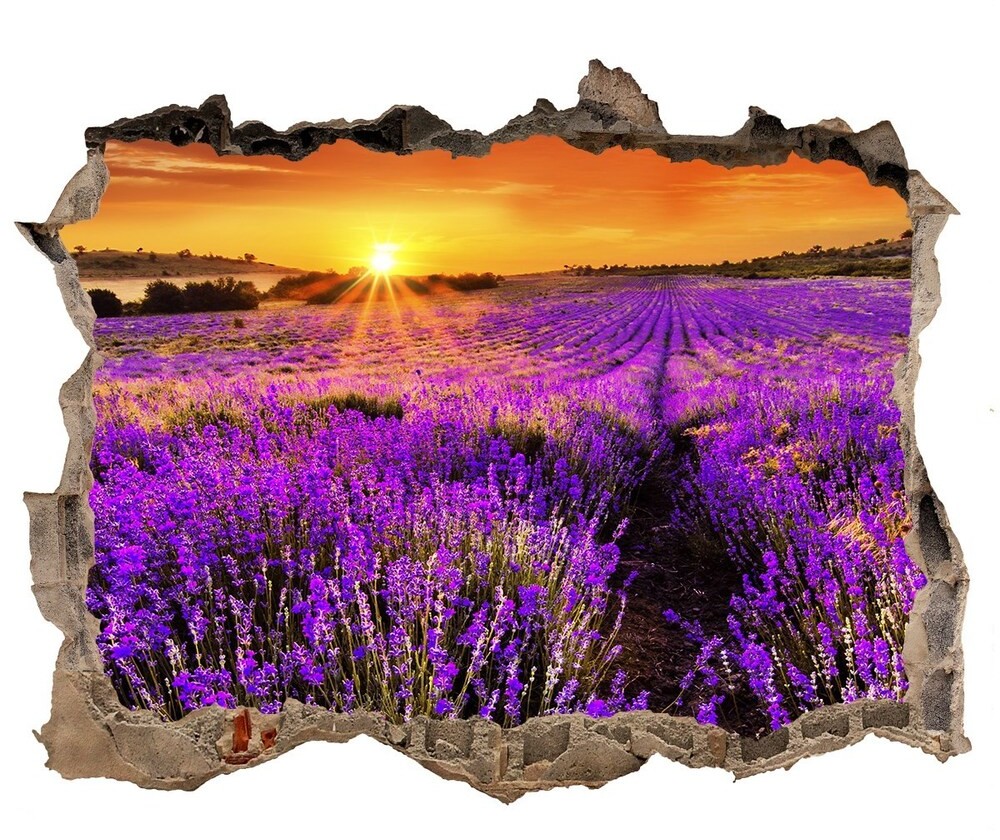 Wallmuralia.pl naklejka fototapeta 3D widok Pole lawendy
