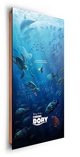 REINDERS Finding Dory unforgetable journey - obraz ścienny 60 x 90 cm 28165
