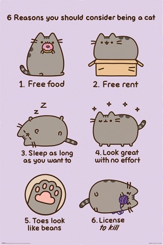 Pyramid International Pyramid International Plakat Pusheen (Reasons to be a Cat)