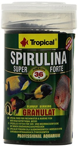 Tropical Super Spirulina Forte granulat podszewka z 36% udziału w Spirulina (Plat Ensis), 1er Pack (1 X 100 ML) C-074