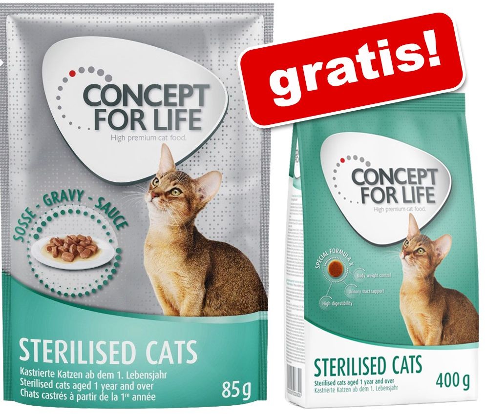 Concept for Life Concept for Life Kitten w galarecie - 12 x 85 g