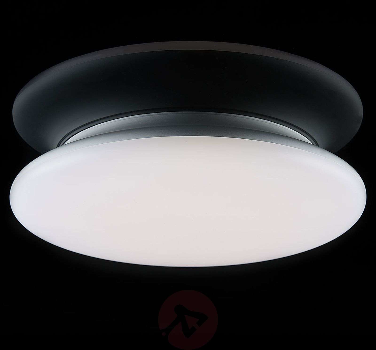 THE LIGHT GROUP SLC lampa sufitowa LED IP54  40 cm 4 000 K