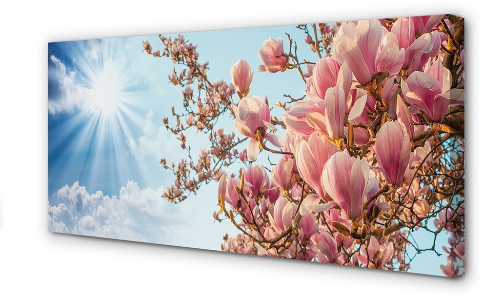 PL Tulup Obrazy na płótnie Magnolia niebo słońce 100x50cm