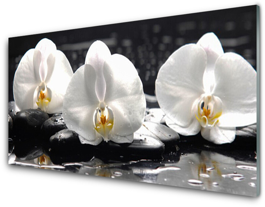 Tulup.pl Panel Szklany Kwiat Biała Orchidea 100x50cm
