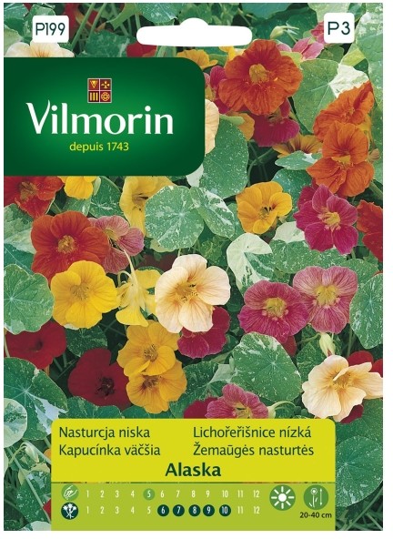 Vilmorin Nasiona nasturcja niska Alaska