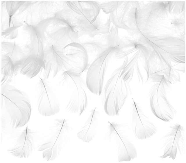 PartyDeco Piórka dekoracyjne 