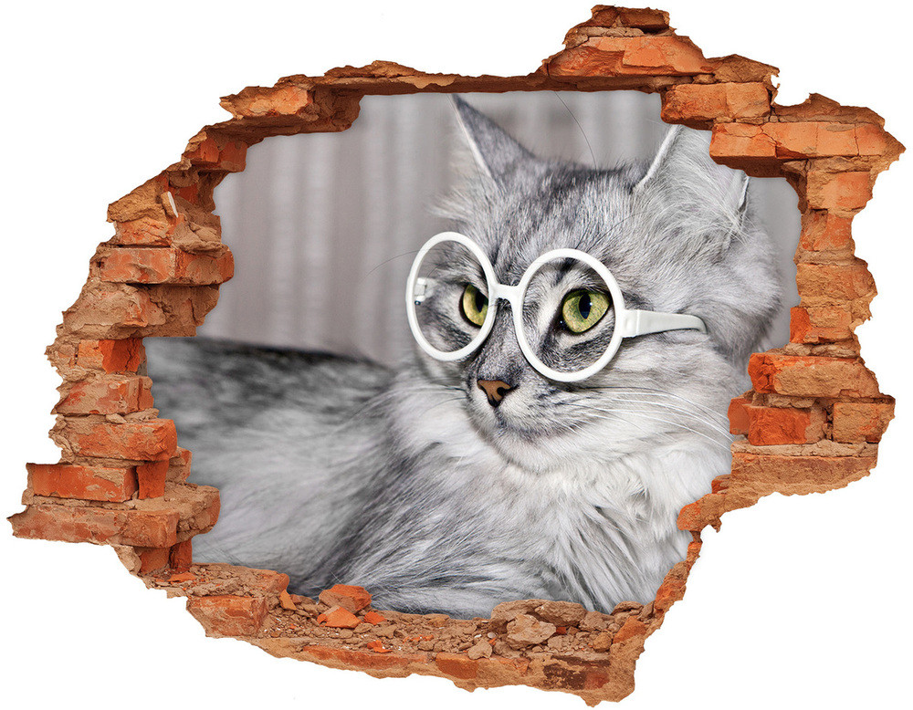 Wallmuralia.pl Dziura 3d fototapeta  naklejka Kot w okularach