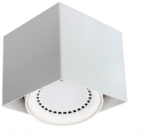 Light&More LM P 618/1 WH PLAFON NOWOCZESNA LAMPA SUFITOWA OPRAWA NATYNKOWA BIAŁY ES111 QR111 AR111 GU10 LED LM P 618/1 WH
