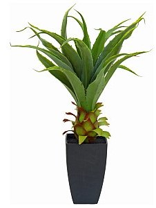 Europalms EUROPALMS Roślina agawa z doniczką, sztuczna roślina, 75 cm 82600160