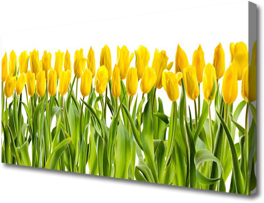 PL Tulup Obraz Canvas Tulipany Kwiaty Natura 120x60cm