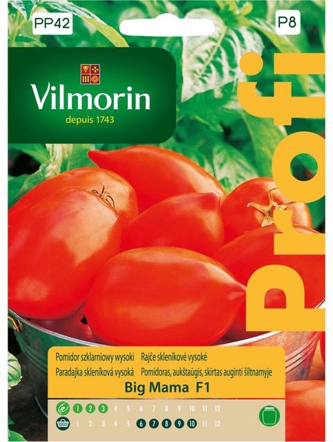 Vilmorin Pomidor szklarniowy BIG MAMA