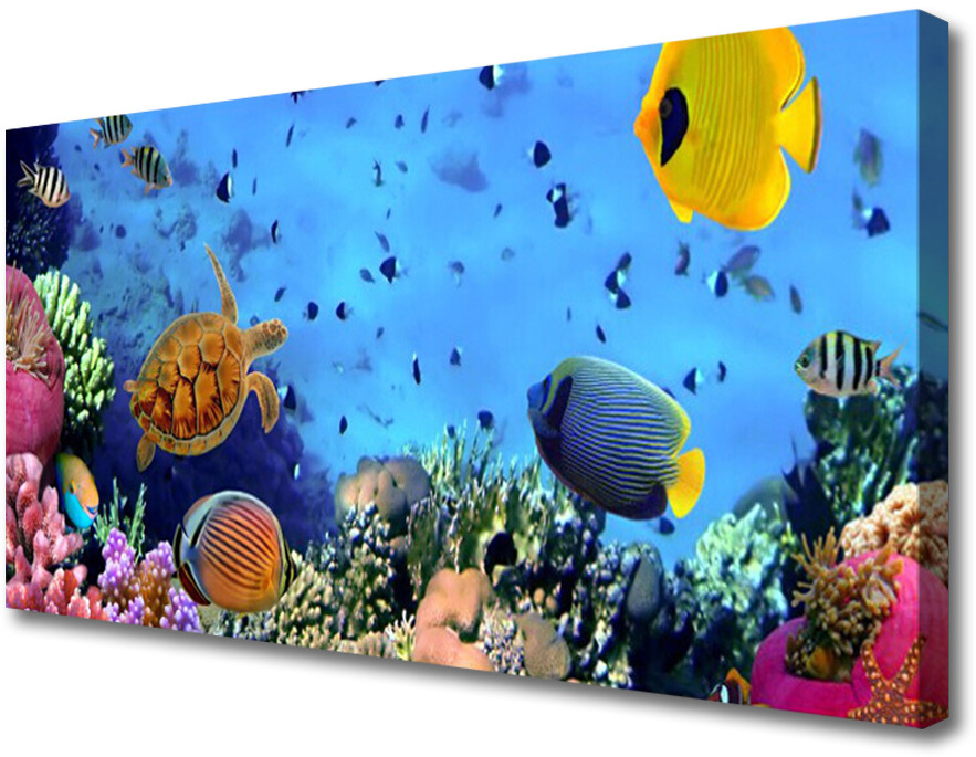 PL Tulup Obraz Canvas Rafa Koralowa Przyroda 100x50cm