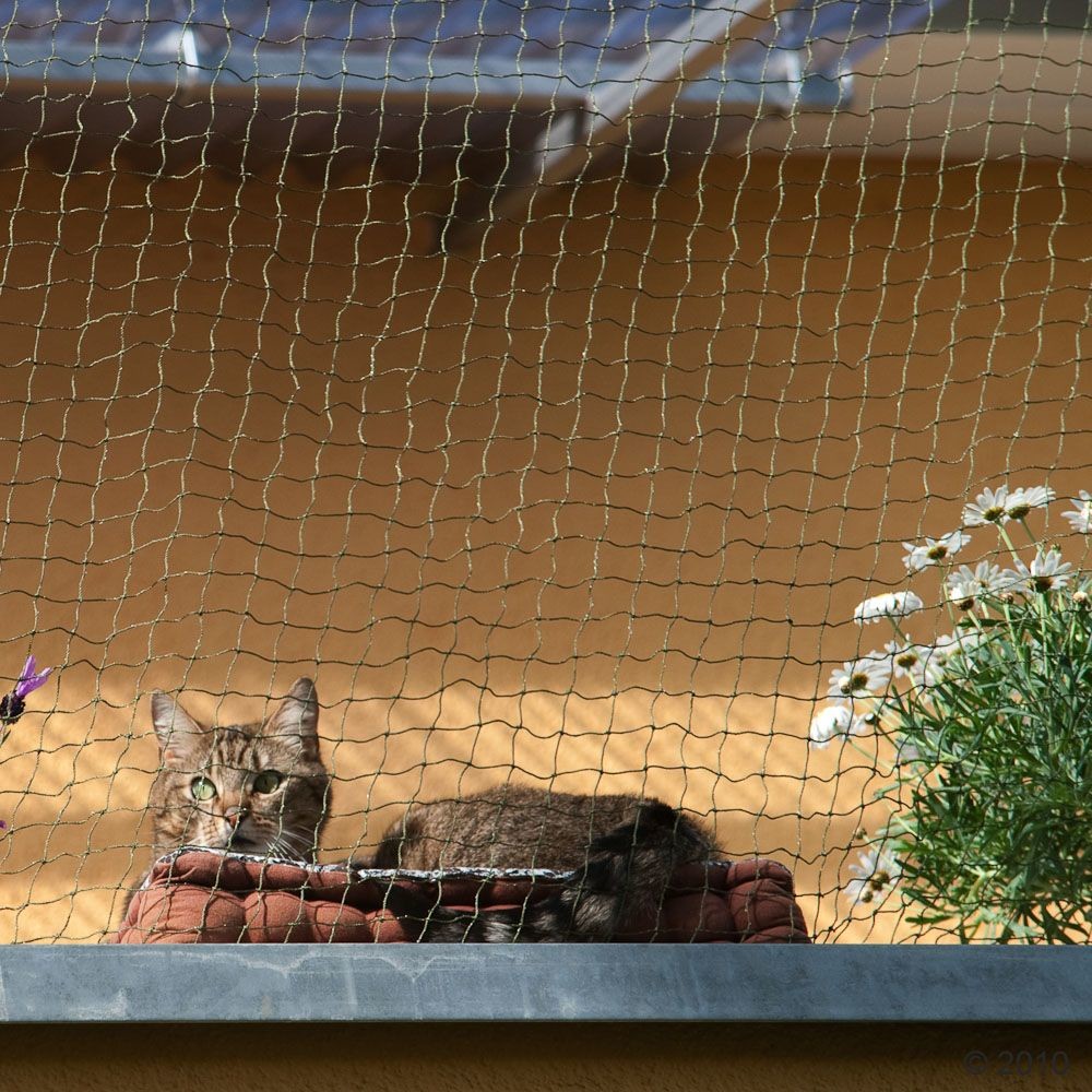 Bitiba Siatka ochronna w rolce dla kota - Transparentna