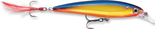 Rapala X-Rap Jerkbait xr10 Fishing Lure 697813