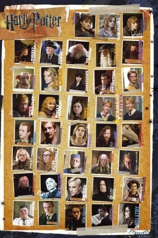 1art1 Harry Potter plakat, 91 x 61 cm 51161