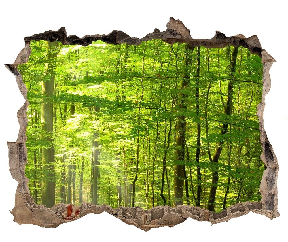 Wallmuralia.pl Dziura 3d w ścianie na ścianę Liściasty las