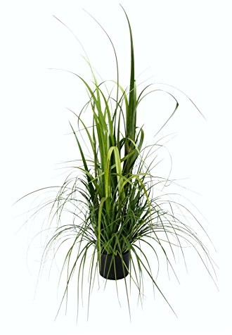 Flair Flower trawy w doniczce, tworzywo sztuczne, zielony, zielony, 120 cm 151024GN