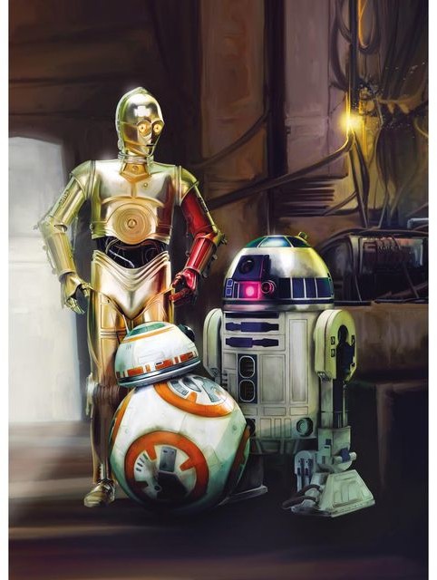 Fototapeta STAR WARS 254 x 184 cm