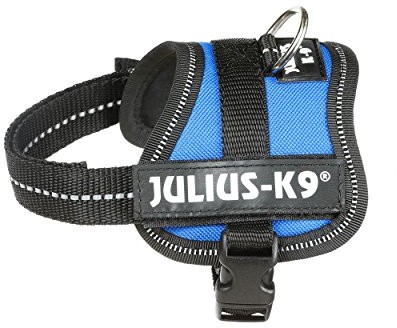Julius-K9 162b, K9-power naczynia, niebieski 5999053612689