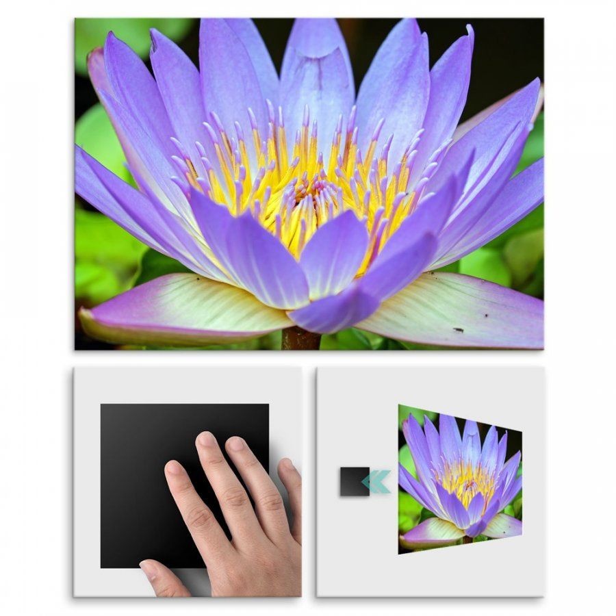 Pix4home Plakat metalowy fioletowy kwiat M POS-M-01249