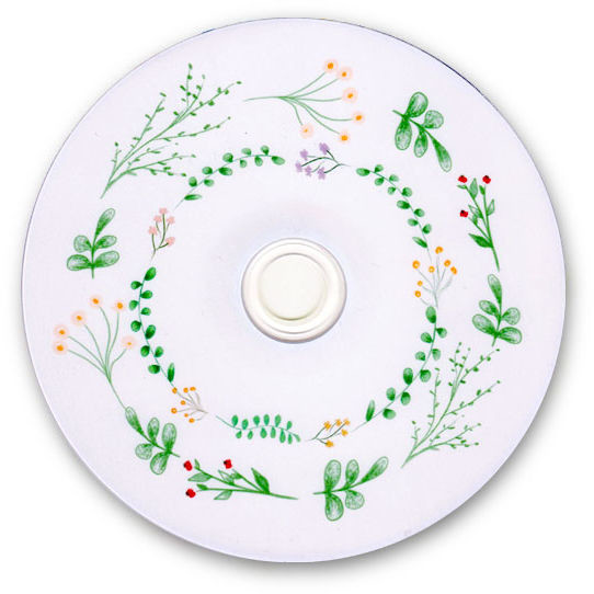 Płyta DVD TS Ulotne chwile (DVD-R 4,7GB 16x)