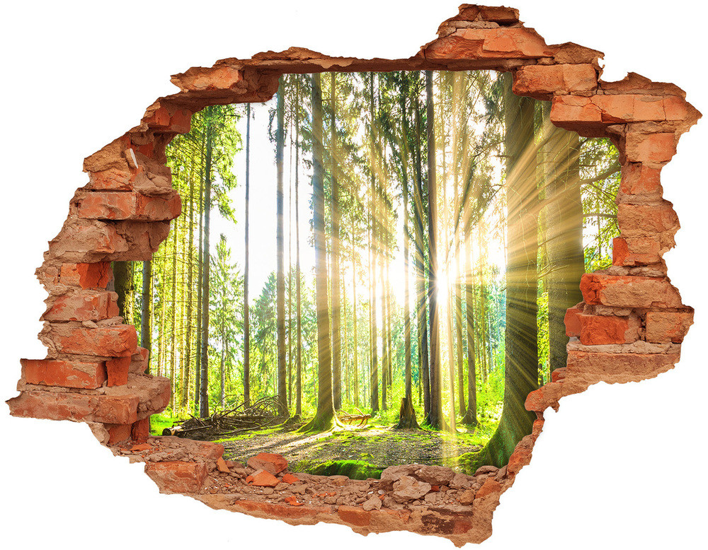 Wallmuralia.pl Dziura 3d foto tapeta naklejka Kotek w swetrze