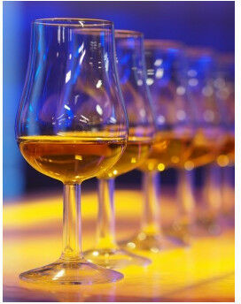 Indywidualna degustacja whisky  Warszawa P0009497