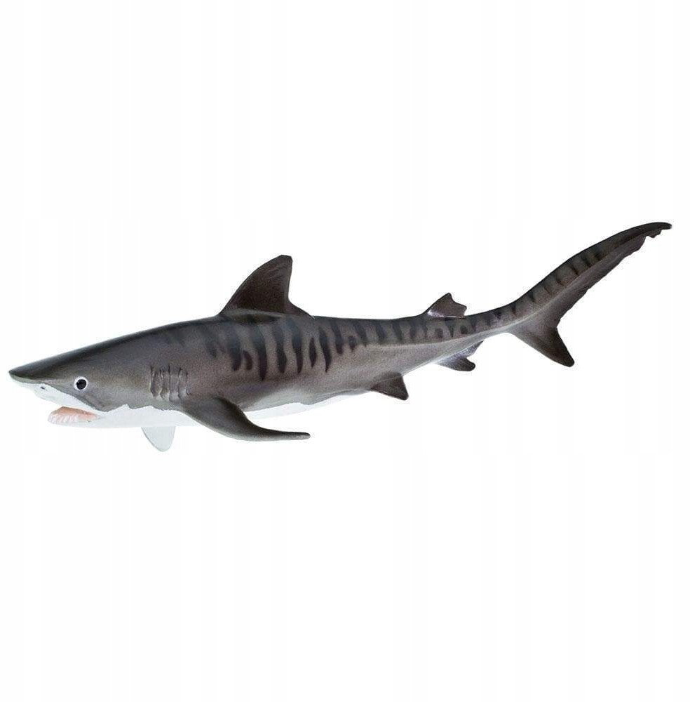 Safari Rekin Tygrysi - Tiger Shark - Ltd. - 211702