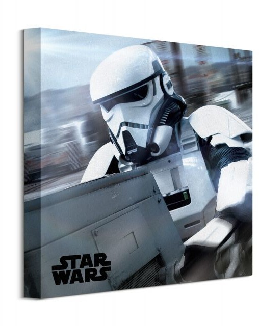 Pyramid Posters Solo: A Star Wars Story Trooper - obraz na płótnie WDC101119