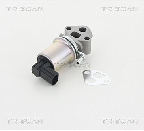 Triscan triscan 8813 29007 AGR zaworów 8813 29007