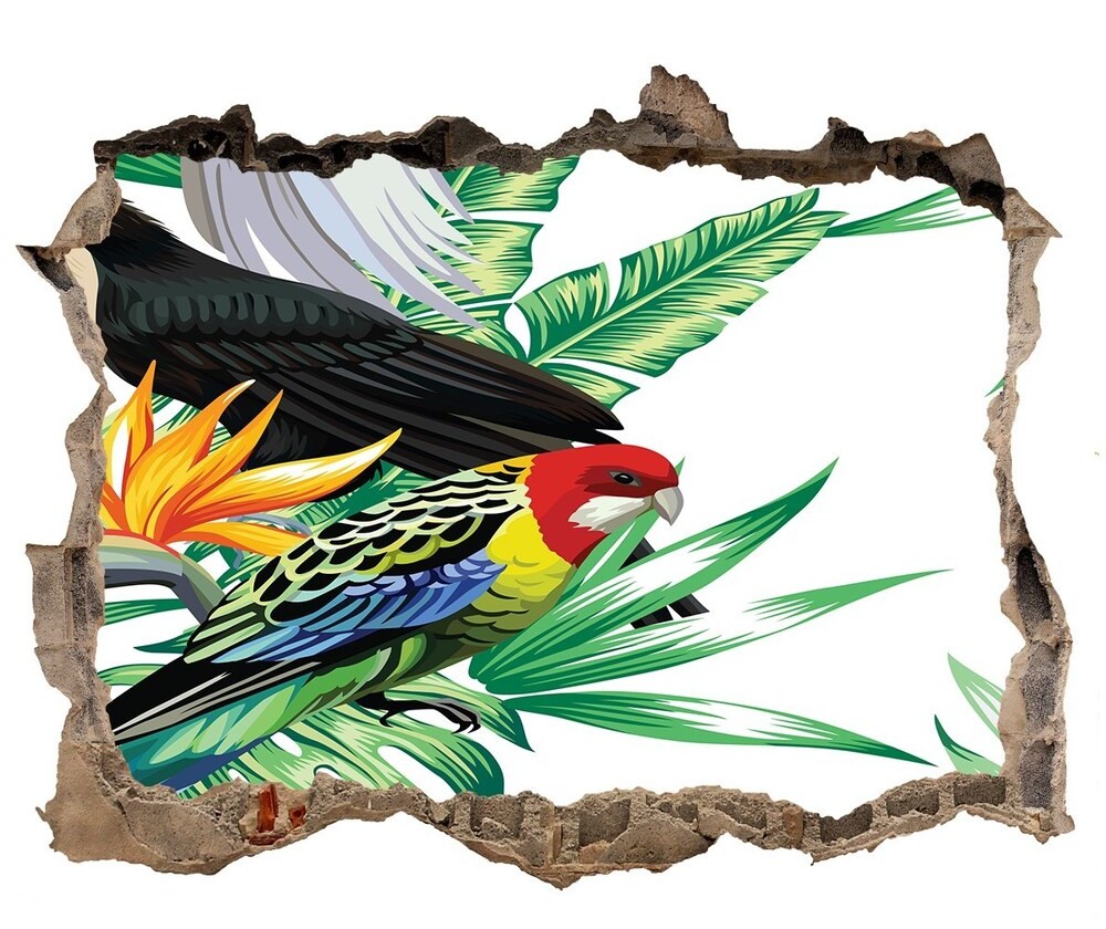 Wallmuralia.pl Dziura 3d fototapeta ścienna Tropikalne ptaki