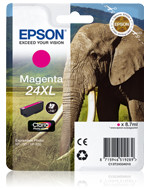 Epson T2433 (C13T24334012)