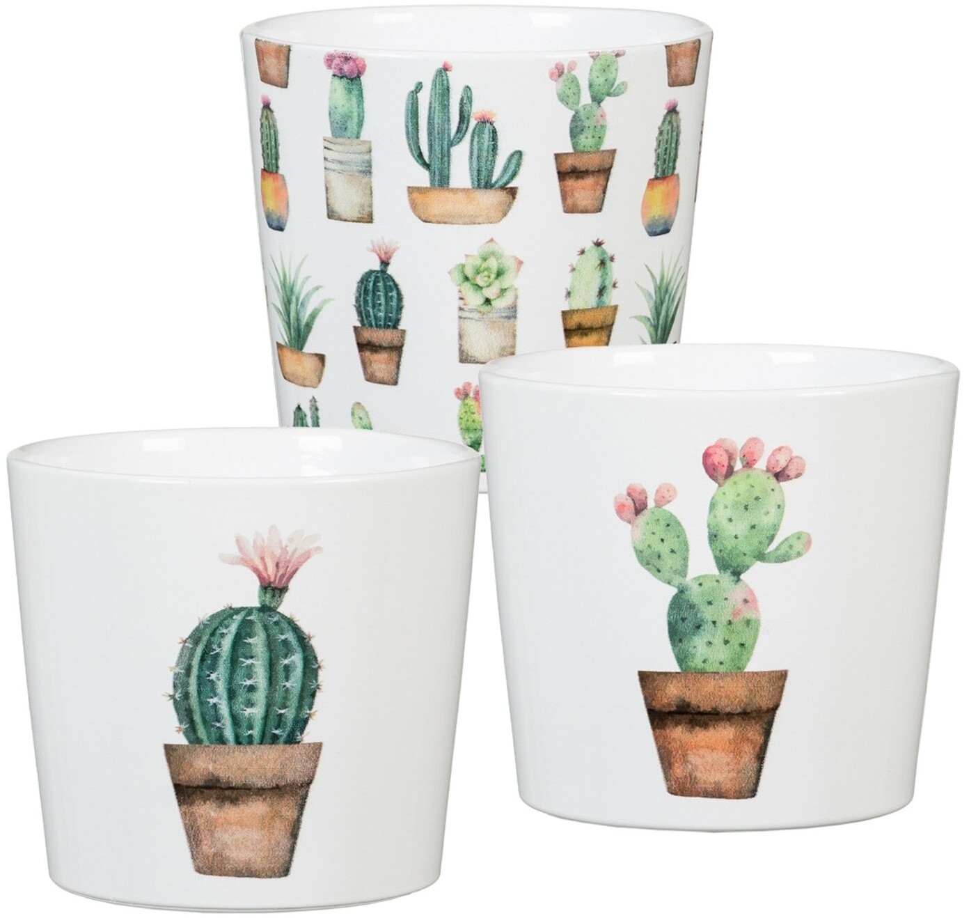 Scheurich Scheurich Osłonka Cactus Garden 870 9 cm