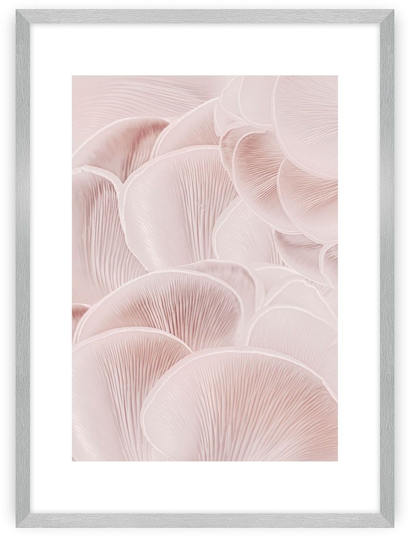 Dekoria Plakat Pastel Pink I 70 x 100 cm Ramka Srebrna 223G-000-43