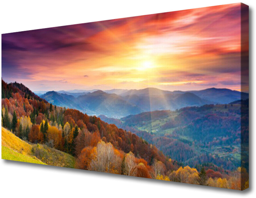 PL Tulup Obraz Canvas Góra Las Słonce Krajobraz 100x50cm