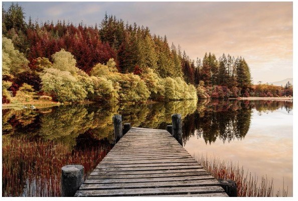 Obraz Glasspik Autumn Path 80 x 120 cm GL322