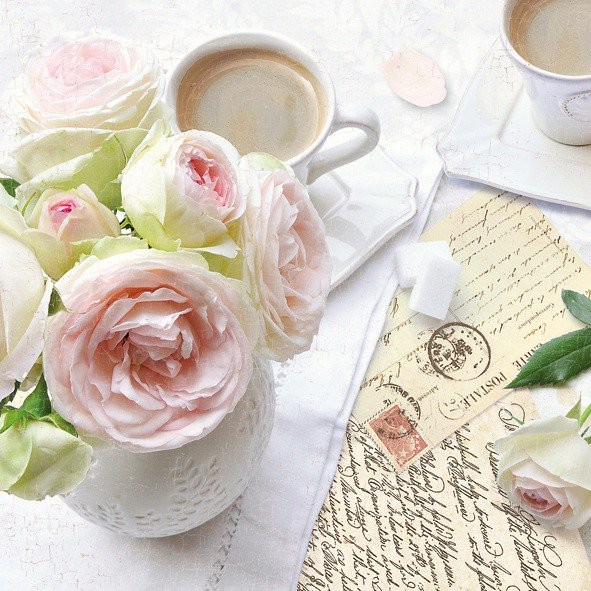 Nuova R2S Serwetki 3-warstwowe 20 szt 414 RBK