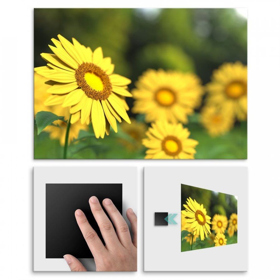 Pix4home Plakat metalowy słonecznik L POS-L-01346