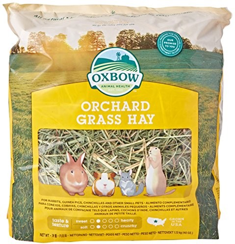 Orchard Grass petlife Oxbow kupkówka pospolita siana do małych zwierząt, 1,13 kg