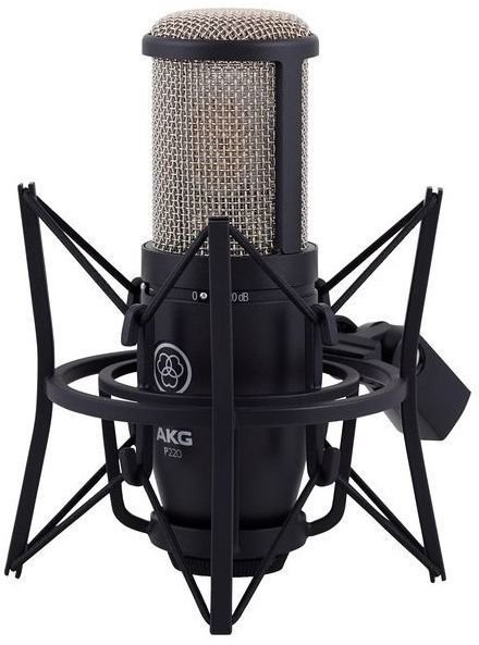 AKG P220