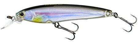 Yo-Zuri 3DS Minnow 100 °F1157 Meister F1157 HBS