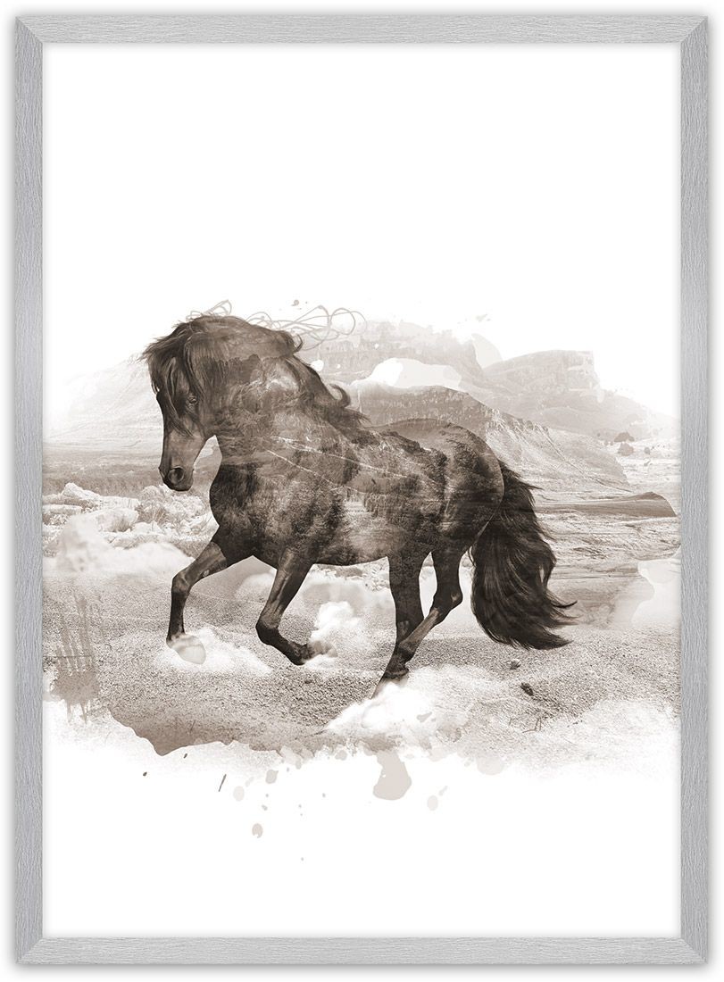 Dekoria Dekoria Plakat Horse 21 x 30 cm Ramka Srebrna 218B-000-27
